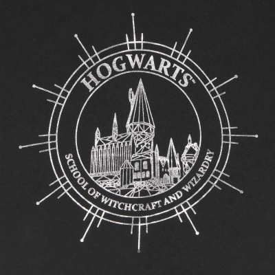 Superheroes Inc. Harry Potter - Hogwarts Constellation (Womens Acid Wash Black Premium T-Shirt)  Acid Wash Black