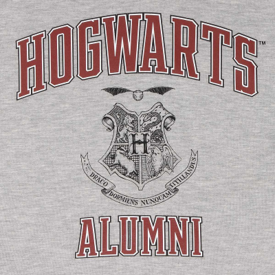 ** Superheroes Inc. Harry Potter - Hogwarts Alumni (Unisex Heather Grey Cropped Pullover)  ** Heather Grey