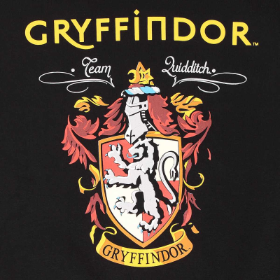 Superheroes Inc. Harry Potter - Property Of Gryffindor (Unisex Black Contrast Pullover Hoodie)  Schwarz