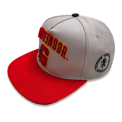 Harry Potter - College Gryffindor (Unisex Grey Snapback Cap)  Degree