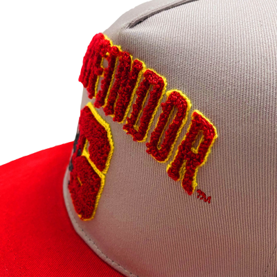 Harry Potter - College Gryffindor (Unisex Grey Snapback Cap)  Degree