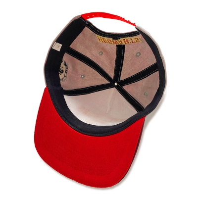 Harry Potter - College Gryffindor (Unisex Grey Snapback Cap)  Degree