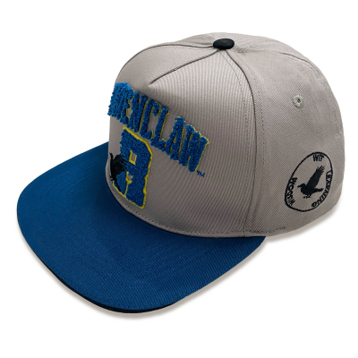 Harry Potter - College Ravenclaw (Unisex Grey Snapback Cap)  Degree