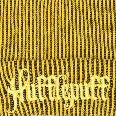 Harry Potter - Hufflepuff House (Unisex Yellow Beanie)  Yellow