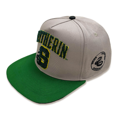 Harry Potter - College Slytherin (Unisex Grey Snapback Cap)  Degree