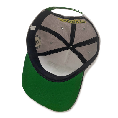 Harry Potter - College Slytherin (Unisex Grey Snapback Cap)  Degree