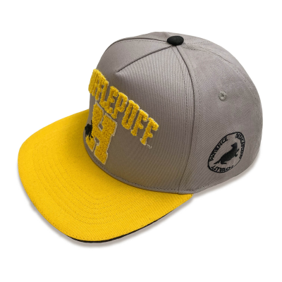 Harry Potter - College Hufflepuff (Unisex Grey Snapback Cap)  Degree