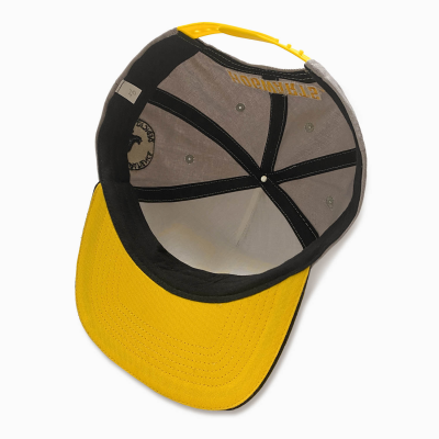Harry Potter - College Hufflepuff (Unisex Grey Snapback Cap)  Degree