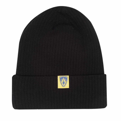 ** Marvel Comics Guardians of The Galaxy - Title (Unisex Black Beanie)  ** black